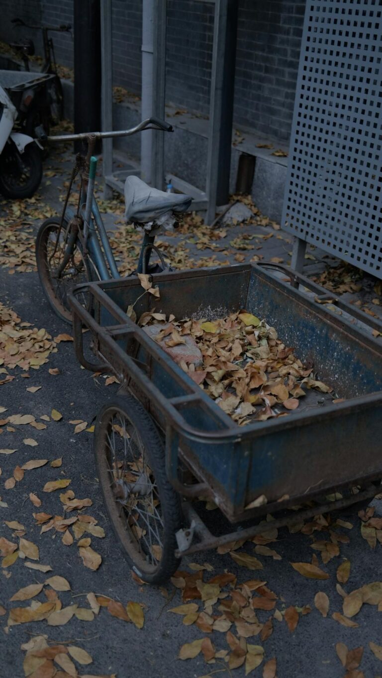An old bicycle cart filled with colorful autumn leaves in an urban alley.